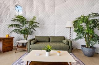 The Jungle - Glamping Dome with Private Hot Tub - 7