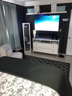 Modern centric One-Bedroom Apartment 3-B - 3