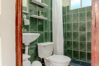 Rooms & Pool Macaws - 3