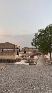 Premium Farm Villa with Pool, Gardens, and Spacious Outdoor Areas - 2