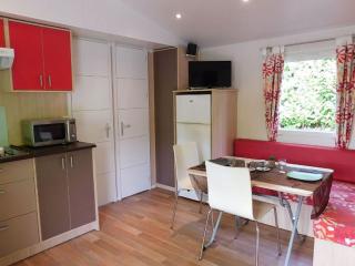 Mobil-home avec clim, animaux acceptés - 5 pers. - API-1-52-2862 - 7