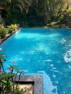 Marari Dreamz Homestay - 9