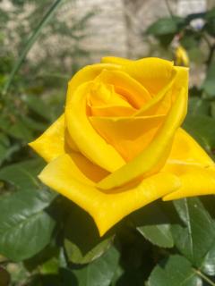Little Paradise - 3
