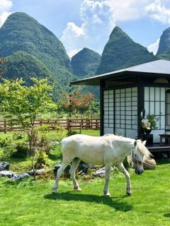 PastForward Deer Luxury Maison & Café - Yulong River Branch - Where past meets present, with deers by Karst view - Infinity pool & Rooftop Terrace - 6