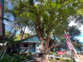 Benny beachhouse hostel - 1