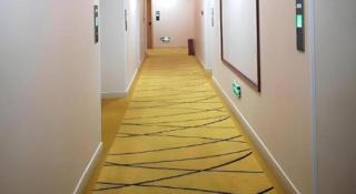 GreenTree Inn Express Shanghai Baoshan District Youyi Road Metro Station - 2
