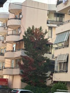Studio TERRA Plazh - 3