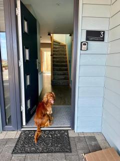 Sea View Holiday Home - 3 Bedrooms, Balcony, Dog Friendly - 5