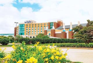 Grand Harbor Resort - 9