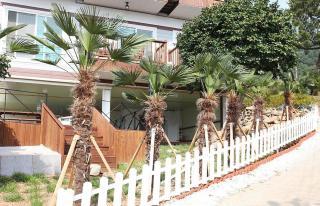 Geojae Moraesup Pension - 3