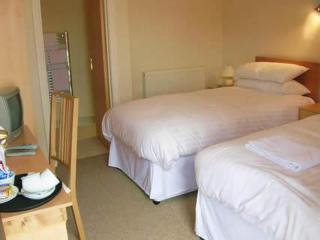 Jolly Brewers Free House Inn - Bishops Stortford - 4