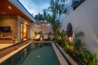 Revana Ubud Villa - 1
