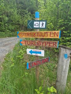 Elvehavn - Leilighet i sjøbod - Feda - 6