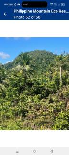 Philippine Mountain Eco Resort - 6