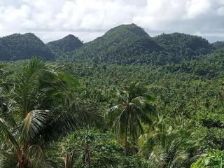 Philippine Mountain Eco Resort - 2