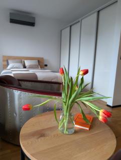 Boutique Apartment with Private Garden - 3