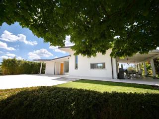 Villa Mulberry garden - Esclusiva privata con piscina, sauna e palestra - 1