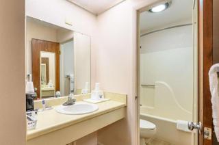 Americas Best Value Inn Heflin - 4
