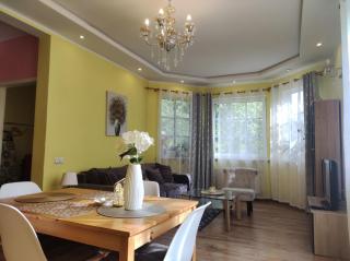 Boutigue city house with terrace and garden free parking - 8