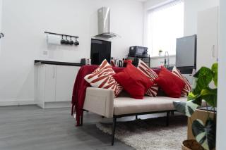 Birmingham City Flat near Villa Park Free Parking - 7
