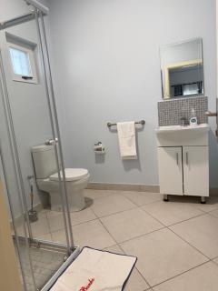 Luxury Beach House with Pool walk to Ocean 3 EnSuits - 9