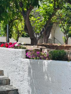 Casa Crystallia - 1