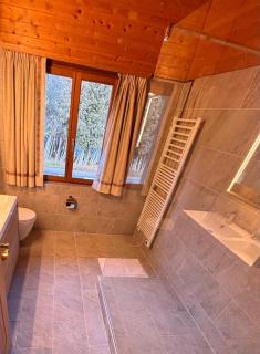 Gstaad - Cozy spacious Flat right in the village - 1
