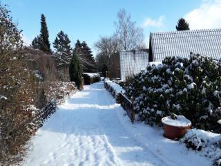 Nurdachhaus Ferienpark Schellbron - Schellbronn - 4