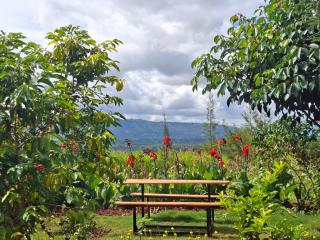 Elmadel Coffee Gardens- Family Villas, Couples Chalets, Holiday Getaway & Garden Coffee Shop, Rustic Gardens- 50kms from Nairobi - 7