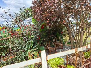 Elmadel Coffee Gardens- Family Villas, Couples Chalets, Holiday Getaway & Garden Coffee Shop, Rustic Gardens- 50kms from Nairobi - 9