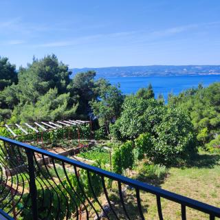 Apartment with 2 balconies and sea view - 7