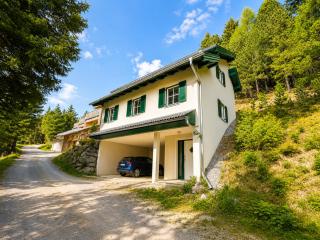 Chalet am Berg Turracher Höhe Natur & Ski - 9
