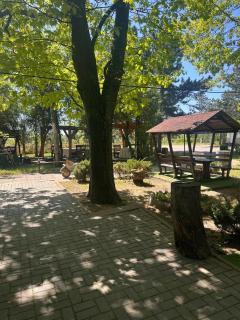 Hotels Stejariș - 9