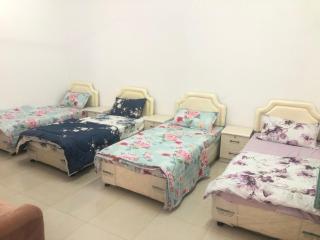 Masirah oyster - 3