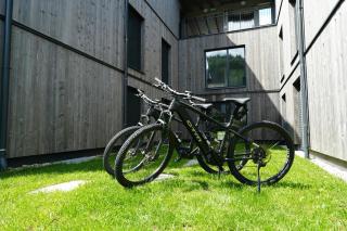 Alpenlodge Haus - Summer resort with Schladming-Dachstein Card - 6