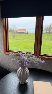 Tinyhouse Giethoorn - 5