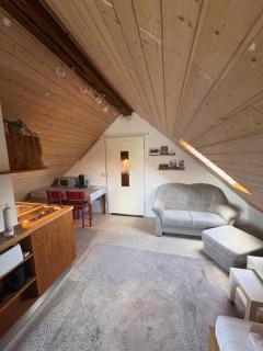 Cozy Apartment - 1