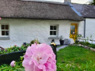 The Thatched Cottage - 1