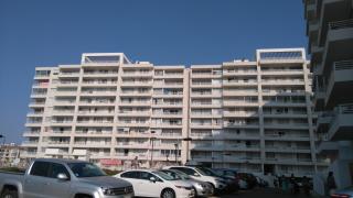Yasna Gorigoitia - La Serena - 5