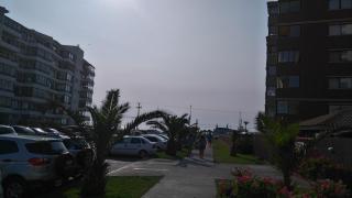 Yasna Gorigoitia - La Serena - 4
