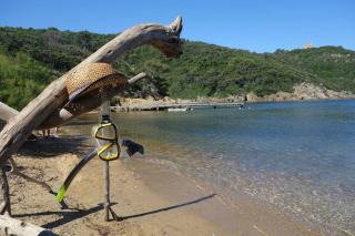 Charmant à 600 m des plages proche des commerces LESCLESDENICOLE - 2