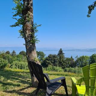 Appart cosy avec vue sur Lac - Lugrin - 9