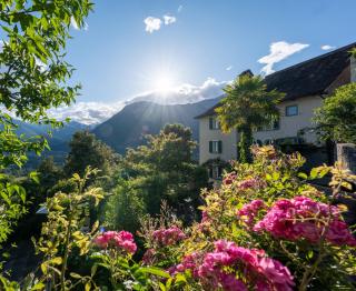 Le jardin - Demeure d'exception, vue et terrasse - 0