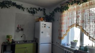 Guest House Altyn Balyk - 1