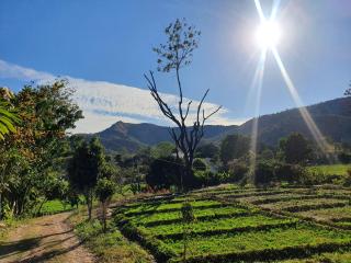 Shanti Vihar - Farmstay - 4