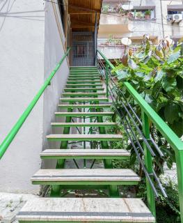 Green House - 6