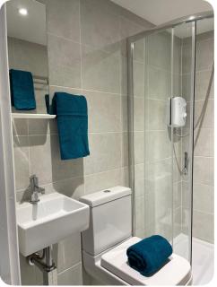 Luxury Southsea Flat with Parking, Close to Beach, Pet Friendly, Work Ready - 5