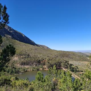 Bushmanspad Estate - 6