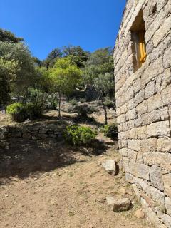 Casa Martinetti - 4