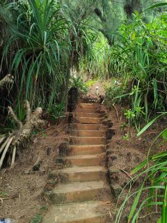 Vacay Nest Varkala - 3